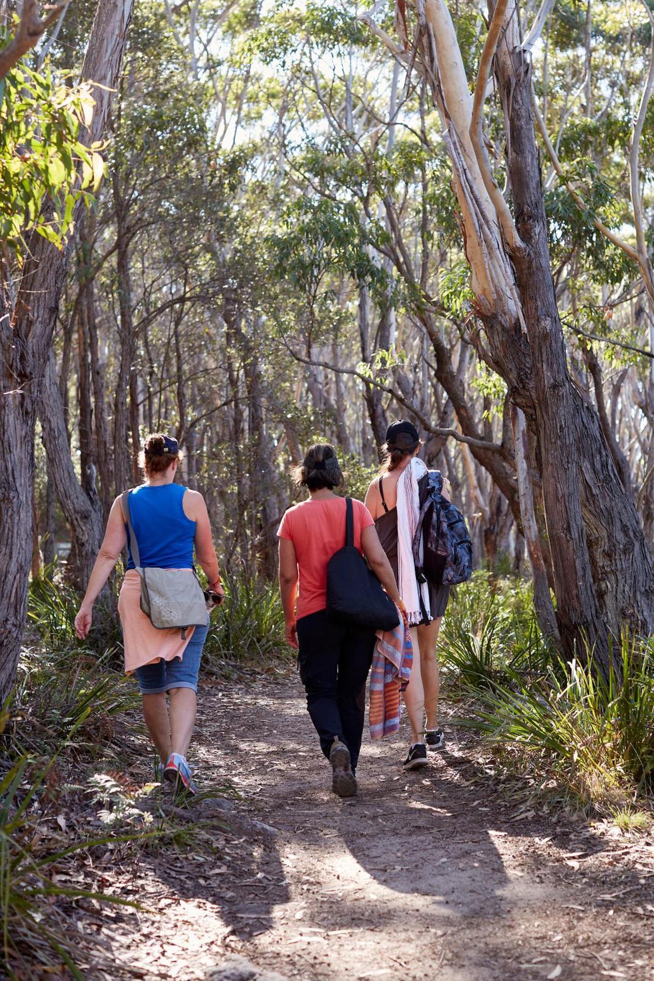 Paperbark Camp Hotel Woollamia Luaran gambar